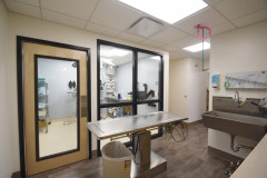 Old Canal VCA Renovation Exam Room - Plainville, CT
