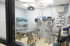 Old Canal VCA Renovation Surgical Room - Plainville, CT