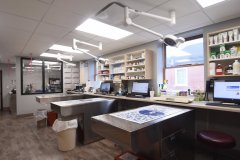 Old Canal VCA Renovation Surgical Room - Plainville, CT
