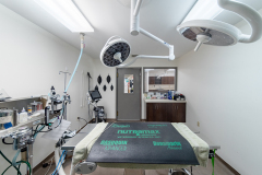 VCA-Surgical-Suite