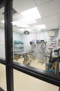 Old Canal VCA Renovation Surgical Room - Plainville, CT